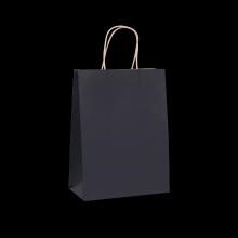 Black Paper Bag Twist Handle 10 50Pack