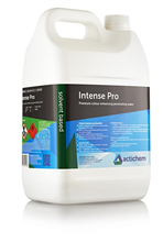 Actichem Intense Pro Sealer 5L