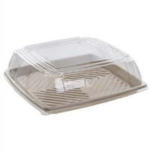 Anchor Square Pulp Platter With Lid 16 Inch