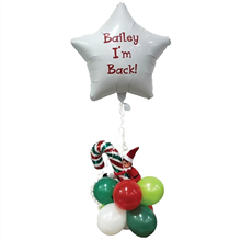 Balloon Arrangements 228 Elf Im Back