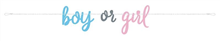 Banner Gender Reveal Blue And Pink 76087