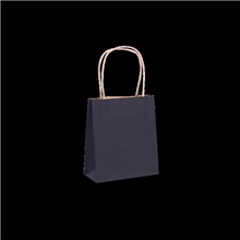 Black Paper Bag Twist Handle 2 10 Pack