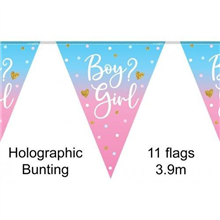 Bunting Boy or Girl 39M