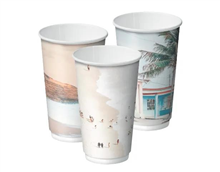 Castaway Cup 16Oz Paper DWall Creative 300Ctn
