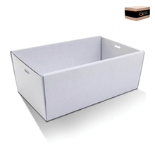 Cater Box Only Rectangle Small White 50CTN