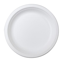 ENVIROCHOICE NFIBRE ROUND PLATE 9 500CTN