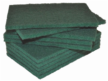 Edco Scourer Pad 15X10cm Green 10 Pack