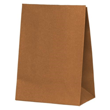 Five Star Paper Party Bag Acorn 10PK