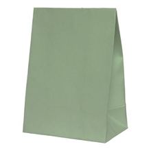 Five Star Paper Party Bag Eucalyptus 10PK