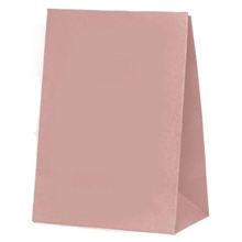 Five Star Paper Party Bag Rose 10PK