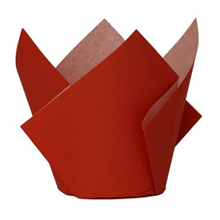 Five Star Paper Tulip Cupcake Case Cherry 20PK