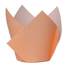 Five Star Paper Tulip Cupcake Case Peach 20PK