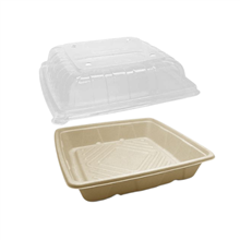 Greenmark Platter Deep 10 WLid 