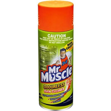 Mr MuscleOven Cleaner Non Caustic 300gm