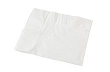 Napkin Dinner 2 Ply White 1000Ctn