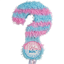 Pinata Gender Reveal 