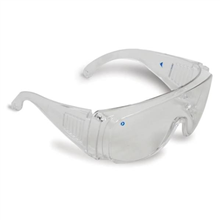 Pro Choice Safety Glasses Visitors Clear Lens 1 Pair