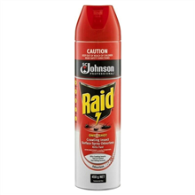 Raid One Shot Crawling Insect Surface Spray Odourless 450Gm