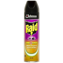 Raid One Shot Insect Killer Citrus 375G