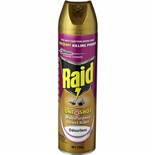Raid One Shot Multi Purpose Insect Killer 320G