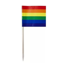 Rainbow Flag Picks 50pk