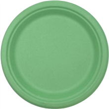 Sugarcane Dinner Plate Pastel Green 9  25 pk