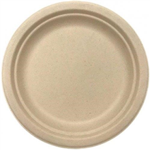 Sugarcane Plate Dinner Natural 10Pk