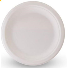 Sugarcane Round Plate 10 50PK