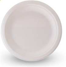 Sugarcane Round Plate 10 500CTN 