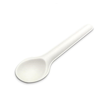 Sugarcane Spoon 3000ctn