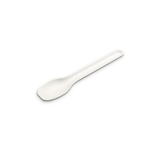 Sugarcane Tea Spoon 3000ctn