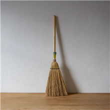 Tumut River Millet Broom Childs