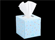 Who Gives A Crap Facial Tissues 3Ply 65 Sheet Cube