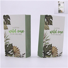 Wild One Loot Bag 6 Pack