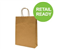 BROWN PAPER BAG TWIST HANDLE 340X260X80MM 250CTN