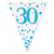 Bunting 30th Birthday Spark Fizz Blue 39m