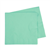 Five Star Napkins Lunch 2ply Mint Green40 pack