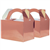 Five Star Paper Little Lunch Box Metallic Rose Gold 10PK