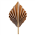 Five Star Paper Palm Leaf 15CM Acorn 2PK
