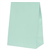 Five Star Paper Party Bag Mint Green 10PK