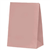 Five Star Paper Party Bag Rose 10PK