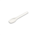 Sugarcane Tea Spoon 3000ctn